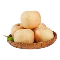 乌仙子陕西嘎啦苹果（拍2件合并一箱） 当季新鲜水果脆甜多汁 心选嘎啦苹果 2.25-2.5斤（65-75mm）