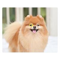 Nikon 尼康 Z 50 APS-C画幅 微单相机