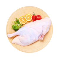 正大 精选樱桃谷鸭 煲汤鸭卤味烧烤食材 半片鸭700g*4袋