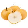 京鲜生 山东烟台奶油富士苹果 5斤装80-85mm 新鲜水果源头直发 5斤单果80-85mm