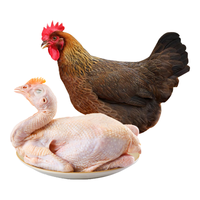 WENS 温氏 供港清远麻鸡1.2kg 原种清远麻鸡土鸡 冷冻 山林慢养125天