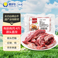 皓月 长白山谷饲原切牛肉 精修有筋有肉 4斤