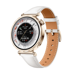 华为 HUAWEI WATCH GT 5   41mm智能手表 情绪监测 蓝牙通话