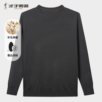 才子（TRIES）男士圆领蚕丝羊毛打底衫舒适亲肤商务休闲针织毛衣奢华体感通勤 黑灰色 2XL 52 (180/96A)