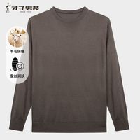 才子（TRIES）男士圆领蚕丝羊毛打底衫舒适亲肤商务休闲针织毛衣奢华体感通勤 咖啡色 2XL 52 (180/96A)