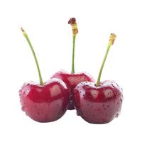 巨钻 车厘子 JJ(28-30mm) 3.5斤