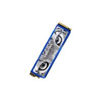 MOVE SPEED 移速 美洲豹 NVMe M.2 固态硬盘 1TB（PCI-E3.0）