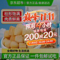 甄菌子 大粒干贝瑶柱扇贝肉干贝小号 60g尝鲜 海鲜干货海产滋补品 干贝60g尝鲜装