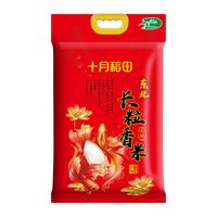 十月稻田 辽河长粒香大米 东北粳米