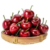 鲜级佳 车厘子美早大樱桃【多地次日达】大连国产樱桃新鲜水果 2斤(净重) 品质装 1J大果单果26-28mm【颗颗甄选】
