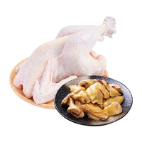 土记100天散养童子鸡 土鸡小公鸡鸡肉生鲜整鸡走地鸡 可清蒸白斩红烧 800g*3只