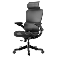 黑白调P2Pro Pro+人体工学电脑椅办公人工力学座椅学习椅久坐舒适电竞椅 新P2Pro+【麦肯基4D腰托】曜黑