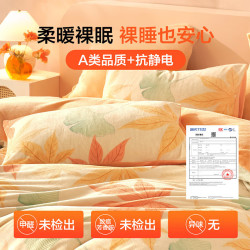 百丽丝 抗静电 牛奶绒四件套