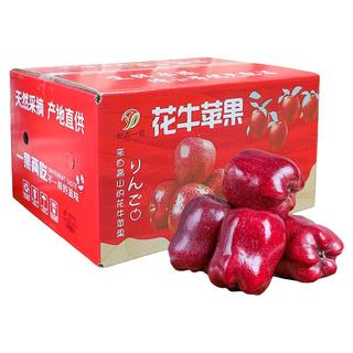 花牛苹果甘肃天水新鲜水果粉面刮泥蛇果黑苹果4.7斤