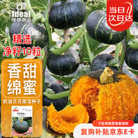 Ideal 理想农业 贝贝南瓜种子 10粒*1袋