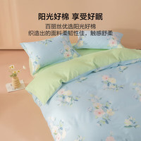 百丽丝出品四件套纯棉床上四件套套件被套床单宿舍单人双人家用 新疆全棉套件 床单款 (被套200*230cm)