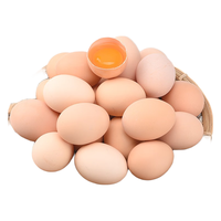 我老家 初生蛋 50枚 2kg