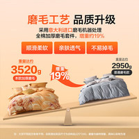 百丽丝套件床上四件套全棉加厚磨毛套件保暖秋冬套件 (吸湿发热) 床单款 （被套）