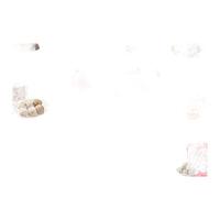 思念火锅食材丸子 撒尿肉丸牛筋丸牛肉丸鱼丸蛋饺蟹柳烧烤丸子关东煮 潮汕牛肉丸252g 简装