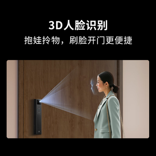 龙霆 A3FD 人脸识别 全自动电子锁