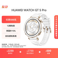 华为 HUAWEI WATCH GT 5 Pro 智能手表 42mm 冰川白 氟橡胶表带