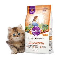 HALO 健美体态系列 鱼肉幼猫猫粮
