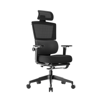 恒林家居 HENGLIN Cozy 电动按摩加热人体工学电脑椅