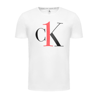 Calvin Klein CK男士T恤 短袖时尚经典夏装 NM1903E 7UM白色 M