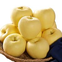 京觅 辽宁黄元帅苹果4.5斤70-75mm 新鲜水果黄面刮泥黄金帅源头直发