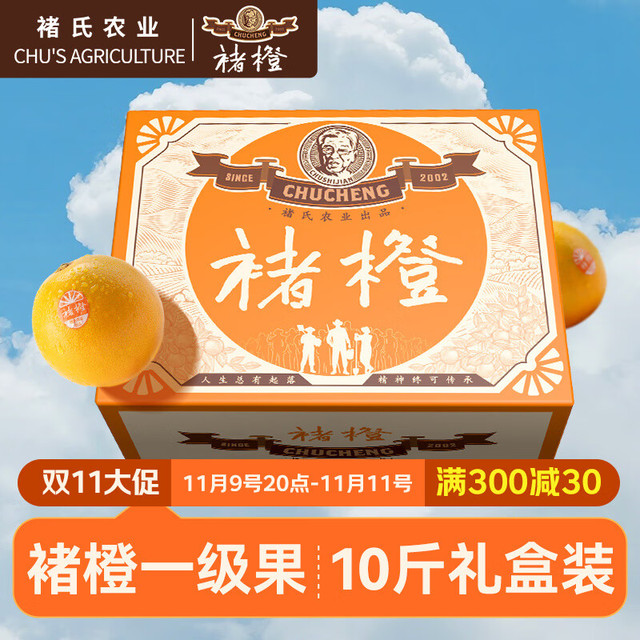 褚橙 褚氏农业 褚橙 单果果重105-140g 5kg 礼盒装