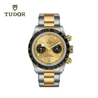 TUDOR 帝舵 碧湾 瑞士手表 钢带金盘 小秒针男表 41mm M79363N-0007