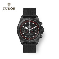TUDOR 帝舵 领潜系列 男士机械表 M25827KN-0001 43mm