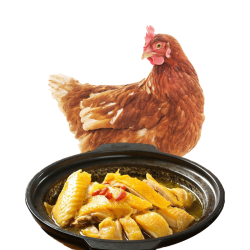 大用 新鲜三黄鸡 整只约850g/只炖汤滋补食材笨鸡走地鸡冷冻农家散养 3只装（1.7斤*3）
