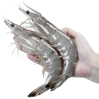 移动端、京东百亿补贴：渔游记 YUYOUJI）大大大号对虾18-20cm厄瓜多尔海域净1.8kg 南美白虾2030生鲜虾类