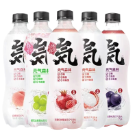 今日必买：元气森林 气泡水480ml*12瓶