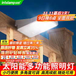 颖朗 intelamp YL004-10A 太阳能便携充电灯 户外庭院壁灯