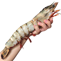 弹指鲜生越南超大黑虎虾 巨型大虾老虎虾对虾 生鲜虾类 21-24cm 1.6kg(净重) 20-24只 特大号 800g*2盒