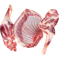 鲜羊官 内蒙呼伦贝尔羊肉草饲半只羔羊9.5斤分割白条羊羊排羊腿生鲜清真 9.5斤（羊整排+羊前腿+后羊腿）