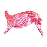 牧场君内蒙古羊肉新鲜半只羊锡盟羊排羊腿羊蝎子生鲜 羊排切块5斤装 原 切羊肉