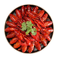 DIAOYUJI 钓鱼记 麻辣小龙虾750g 3-5钱 净虾500g