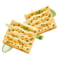 泓一 解馋充饥 香葱苏打饼干