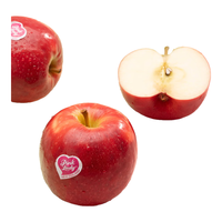 PINK LADY 粉红佳人苹果6粒礼盒单果140g起 生鲜水果礼盒 源头直发 6粒礼盒 单果140g+