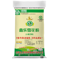 XIN LE TOYS 鑫乐 雪花粉 25kg