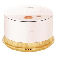 breo 倍轻松 TP-301 电子艾灸仪 标准版