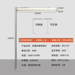 哺视宝 立式护眼小路灯儿童学习阅读台灯全光谱落地大路灯平替闪浦子品牌 天幕护眼落地灯-80W支持小爱款