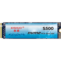 XISHUO 悉硕 S500 NVMe M.2 固态硬盘 256GB (PCI-E 3.0)