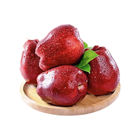 Mr.Seafood 京鲜生 甘肃天水花牛苹果水果净重2.7斤果径65-70mm 源头直发 1.5kg