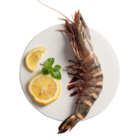 京鲜港手臂长红爪大对虾 1只0.6斤 蒜蓉芝士烤 大虾礼盒装 【更大】手臂红爪虾 0.6斤(净重)