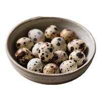 京喜加逗别三日新鲜鹌鹑蛋杂粮喂养鹌鹑蛋生蛋鹑鸟蛋小鸟蛋宝宝辅食整箱 25枚