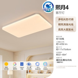 欧普照明 led超大客厅吸顶灯简约自建房1.2米灯具卧室灯书房TC